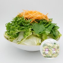 의령농산 건강채소 당일채소 당일제조 당일발송 그린 믹스샐러드 대용량 1kg, 그린 믹스 1kg