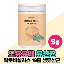 모유유래유산균 모유유산균 프리미엄 생유산균 락토바실러스 유산균 가세리 루테리 람노서스 등 19종 프락토올리고당 함유, A. 230g x 9개