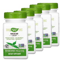 네이처스웨이 Neem Leaf 님리프 950MG 100정 비건캡슐 5개