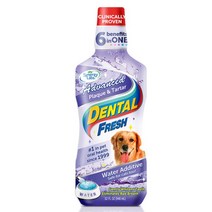 덴탈 후레쉬 독 어드밴스 프라그 치석 503ml, 1
