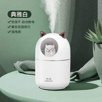 초음파가습기 세척쉬운 캠핑 건조 무드등 사무실 안방 무중력 대용량 신생아 무소음 소형 미니, [화이트] 300ml 대용량 - 2단조절 - 무음 가습