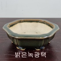 6. 손바닥정원 정육각꽃분 분재화분 승전분, 단풍색