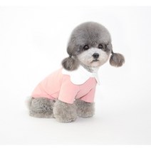 [유달리] 웨이브카라 코튼 캔디 티셔츠 반려동물 봄 여름 가을 겨울 강아지옷 포인트 실내복 예쁜 원피스 애견 애묘 댕댕이, 핑크