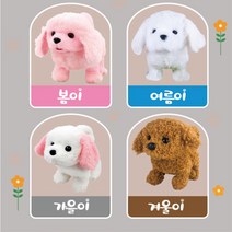 반려동물 강아지 돌보기 완구 랜덤 5살 친구놀이 키즈카페 6살 키카 크리스마스 역할