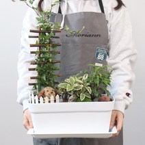 [모리앤]초화박스(중)+받침_3 colors, 다크브라운