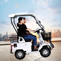 어르신전동차 다인승 전기 노인 삼륜오토바이, 2인용등산  60V 32A 리튬 배터리