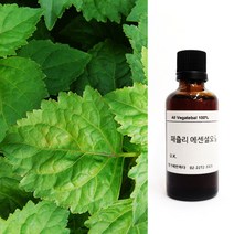 향기에반하다 패츌리 E.O 천연 아로마 에센셜 오일 30ml 50ml 100ml수렴 이뇨 친환경 디퓨저 방향제 캔들 향료 화장품 비누만들기, 패츌리 천연 아로마 에센셜 오일 100ml