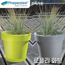 [조이가든] Prosperplast 로플리 화분 (받침포함), 스톤그레이
