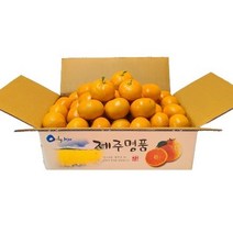 농장직송 고당도 제주감귤 황금향 가정용 선물용 3kg5kg10kg, 노지감귤 5kg 로얄과