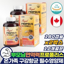 어르신 부모님 면역력 높이는 영양제 프로폴리스 면역력 1년치 온가족용 구강항균 보조제 로얄 플로폴리스 플라보노이드 50대 60대 70대 80대 약 x 항산화 캡슐 먹는 포리폴리스
