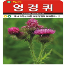 아람종묘 엉겅퀴 100립