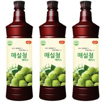 광야식품 매실청 베이스 970ml, 3개