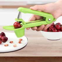 효소 과일청 잼만들기 원터치 과일씨제거기 대추 주방, 1개