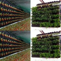 행잉 부직포 벽화분 50X100CM 18포켓 식물벽 걸이형화분