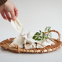 [오늘약방] 국산100% 특품 백복령, 500g, 1개