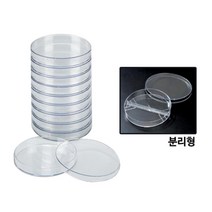 과학실 실험실 연구실용 플라스틱 샬레 실험기자재 연구교재 실험교구 연구수업 실험수업 과학기자재, 1개, C형