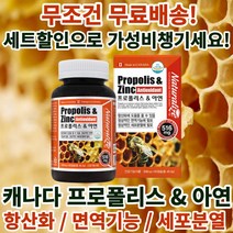 정성홍의 캐나다 직수입 프로폴리스 & 아연 비염 염증 면역력 에 좋은 영양제 약 90 캡슐