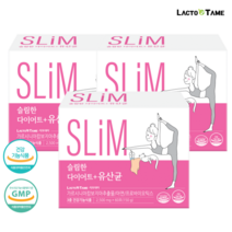 다이어트 유산균 릭토바실러스 모유유래 유산균 가르시니아 다이어트 슬림한 다이어트 유산균, 다이어트 유산균 3개
