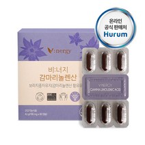 감마리놀렌산 보라지꽃종자유60캡슐, 6개, 6개
