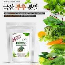 천연 채소 조미료 야채 부추분말 국산 건강 가 200g 2628pq, 1, 상세페이지 참조