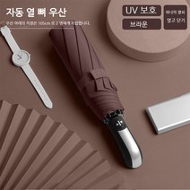 우산 청우 양용 오버사이즈 트리플 우산 전자동 남성 빅사이즈 10골 2인용 우산 햇빛 가리개