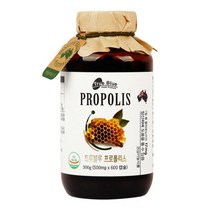 면역력높이는영양제 propolis 500mg x 600캡슐 항산화영양제 코스트코, 상세페이지 참조, 상세페이지 참조