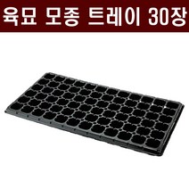 [주식회사 범농] 육묘 모종트레이(30장) - 육묘장 수목 묘목 배추 고추 상추 양파 대파 마늘 트레이 화분, 162구
