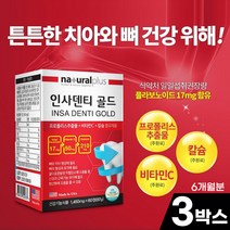 치아 잇몸 영양제 인사 덴티 골드 60정 칼슘 프로폴리스 비타민C 옥수수수염 추출분말 리소짐 부모님 어르신 노인 치아 뼈 건강, 3박스(6개월분)