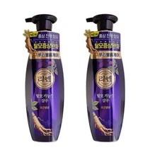 리엔 모근영양 탈모기능성 샴푸 400ml, 2개