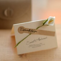 DF어버이날 메세지 감사카드 드라이플라워 카라 화이트 꽃카드