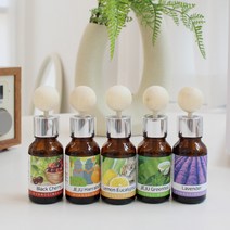 17ml 향기마을 차량용 에어컨 디퓨저 자동차 미니 방향제, 제주한라봉