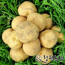 23년청원농산 하우스 햇감자 수미감자, 중, 3kg