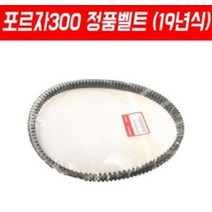 포르자300 FORZA300 윈도우스크린 SHC, 단품