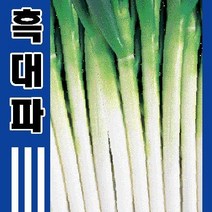 [가람종묘사] 흑대파 씨앗(엽색이 진하고 품질이 우수한 품종)