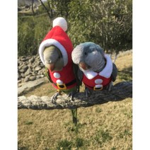 앵무새 옷 코뉴어 새 모란 겨울 털 산타 크리스마스 따뜻한 레드 귀여운, 앵무새종류 배송요청에 적어주세요., 후드가 있는 원피스 똥 주머니