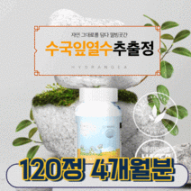 웰빙곳간 수국잎열수 추출정 600mg 120정 하이드란제놀 석류 피쉬콜라겐 발효효소, 1통