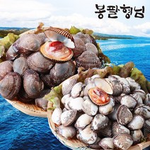 산지직송 새꼬막 (특품) 1.5kg 제철 별미 꼬막, 단품