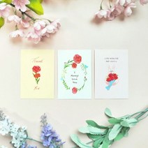 카네이션 미니카드 세트 기념일 감사 사랑 마음 전달, 본상품선택