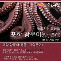 우체국쇼핑 참문어 생물문어 동해안 자숙문어 5Kg
