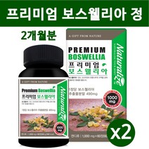 관절 연골 보스웰리아 원물 가루 보스웰리아정 환 알약타입 인도산 보스웰리아 덩어리 어골칼슘 상어연골 초록잎홍합 해조칼슘 보스웰릭산 테르펜 무릎 손목 효능 부모님, 2병