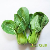 [프레시팜] 엽채류 쌈채소 청경채 4kg 내외