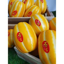 산지직송 달콤 성주 꿀 참외 가정용 2kg/3kg/4kg/5kg/10kg, 가정용 소과 10kg