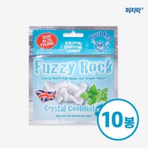 퍼지락 자일리톨 무설탕 캔디 40g, 쿨민트 10봉, 쿨민트 (Coolmint)
