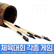 스투피드 체육대회 모음, 022_투호화살촉 (10ea)