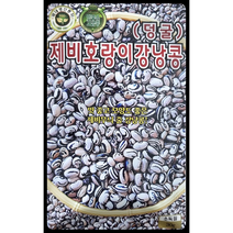 제비호랑이강낭콩씨앗30G 강낭콩씨앗 콩씨앗 KS종묘