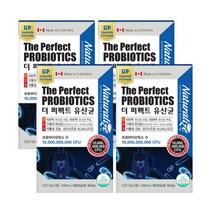 100억 보장 락토바실러스 플란타룸 함유 식물성캡슐, 4개, 510mg / 60캡슐, 비타그린