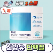 닥터루템 산양유 단백질 7000 사은품증정, 1개, 252g