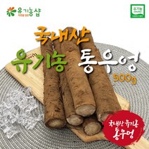 [초록한입] 국내산 유기농 통우엉 500g / 건강즙 증정, 1개