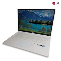 LG 17인치 그램 i7 8th SSD 512GB 대화면 WQXGA 고화질 가벼운 노트북