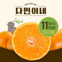 [다민이네]제주 서귀포 노지 조생 감귤 3kg 5kg (실중량 2.5kg 4.5kg), 1개, 5kg(로얄과M)